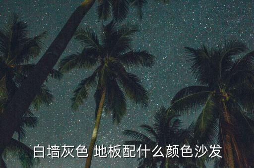 白墙灰色 地板配什么颜色沙发