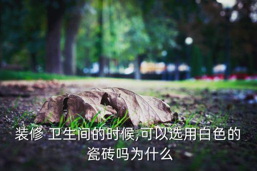 楼梯间做卫生间瓷砖好吗,卫生间用瓷砖做架空