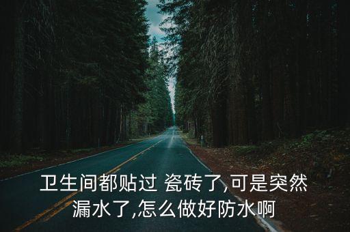 卫生间贴瓷砖面漏水