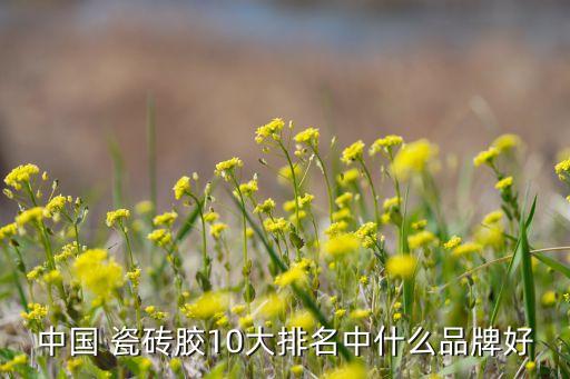 中国 瓷砖胶10大排名中什么品牌好