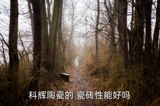 科辉陶瓷的 瓷砖性能好吗