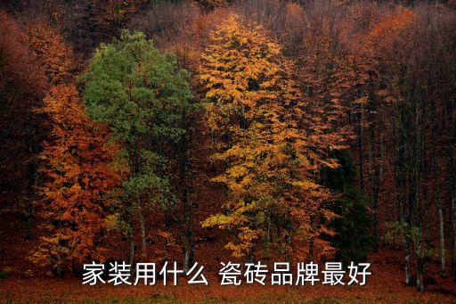 家装用什么 瓷砖品牌最好