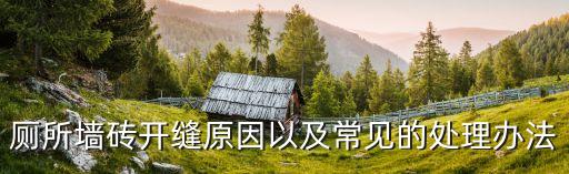 厕所墙砖开缝原因以及常见的处理办法