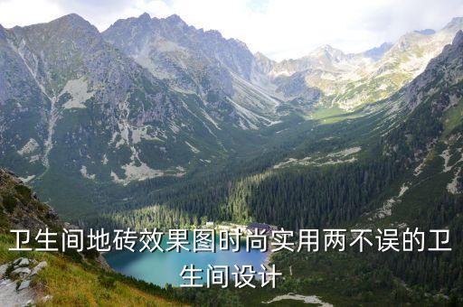卫生间地砖效果图时尚实用两不误的卫生间设计