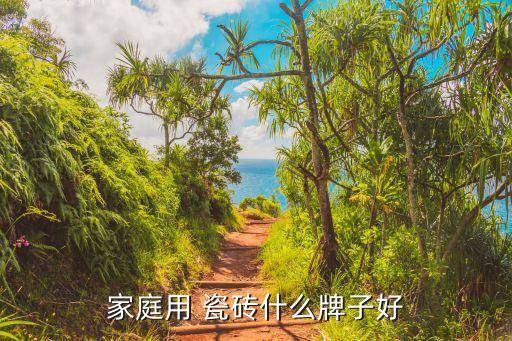 家庭用 瓷砖什么牌子好