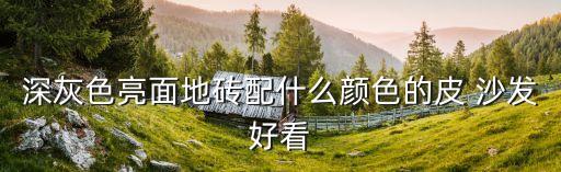 深灰色亮面地砖配什么颜色的皮 沙发好看