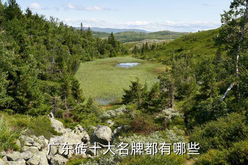 世界级品牌瓷砖,中国的世界级品牌