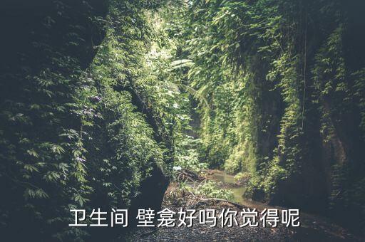  卫生间 壁龛好吗你觉得呢