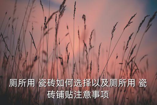 厕所用 瓷砖如何选择以及厕所用 瓷砖铺贴注意事项