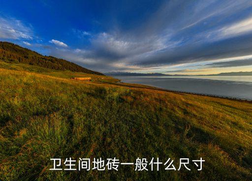  卫生间地砖一般什么尺寸