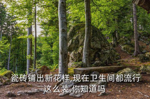  瓷砖铺出新花样,现在卫生间都流行这么装,你知道吗