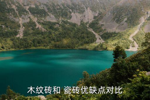 瓷砖实木地板效果图,瓷砖和实木地板哪个对健康影响大