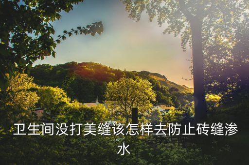  卫生间没打美缝该怎样去防止砖缝渗水