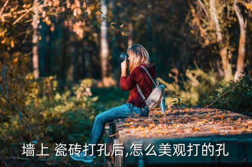 墙上 瓷砖打孔后,怎么美观打的孔