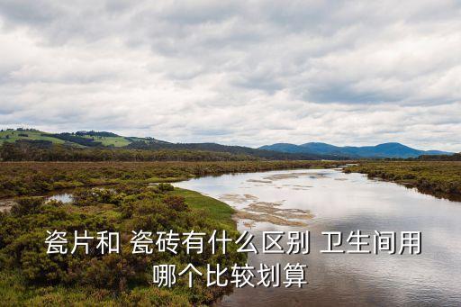  瓷片和 瓷砖有什么区别 卫生间用哪个比较划算