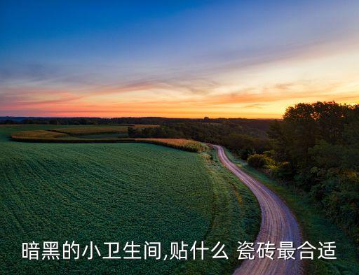 暗黑的小卫生间,贴什么 瓷砖最合适