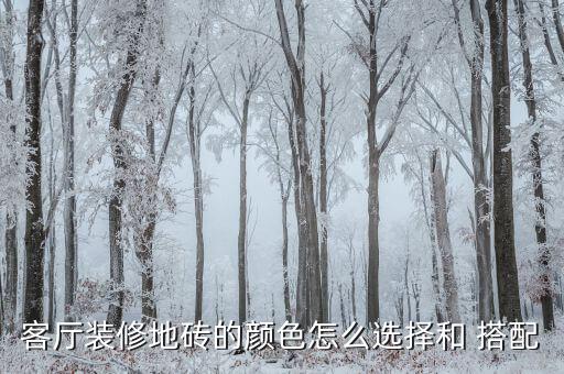 客厅装修地砖的颜色怎么选择和 搭配