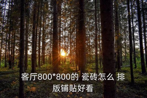 客厅800*800的 瓷砖怎么 排版铺贴好看