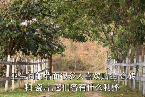 卫生间墙砖瓷片瓷砖,墙砖用瓷片好还是用瓷砖好