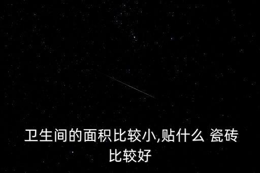  卫生间的面积比较小,贴什么 瓷砖比较好