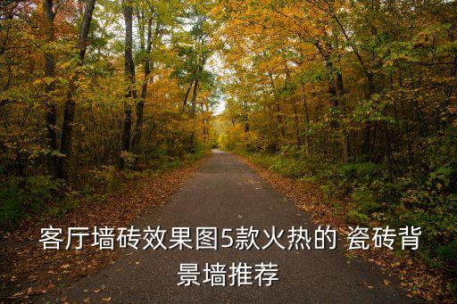  客厅墙砖效果图5款火热的 瓷砖背景墙推荐