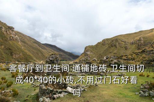 客餐厅到卫生间 通铺地砖,卫生间切成40*40的小砖,不用过门石好看吗