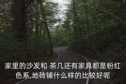 家里的沙发和 茶几还有家具都是粉红色系,地砖铺什么样的比较好呢