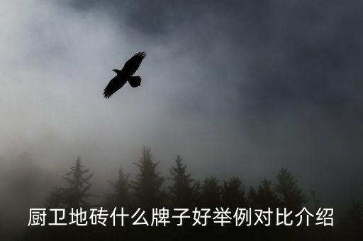 厨房瓷砖电器品牌排行