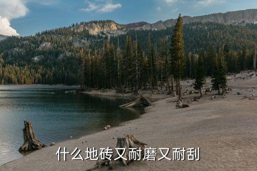 什么地砖又耐磨又耐刮