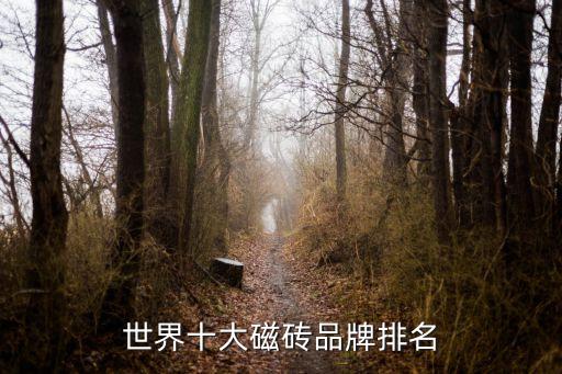 世界十大磁砖品牌排名