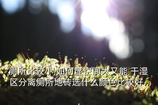 厕所比较小,如何显空间大又能 干湿区分离厕所地砖选什么颜色比较好...