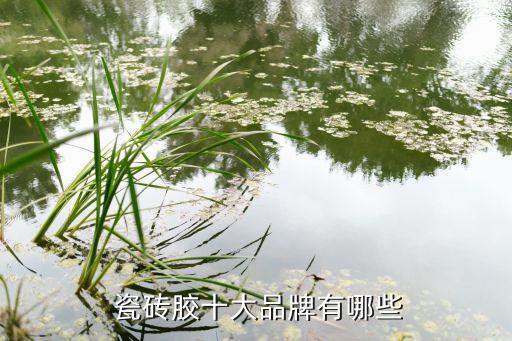  瓷砖胶十大品牌有哪些
