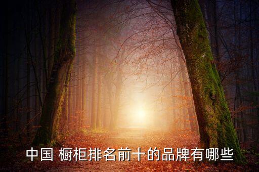 中国 橱柜排名前十的品牌有哪些