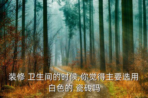 装修 卫生间的时候,你觉得主要选用白色的 瓷砖吗