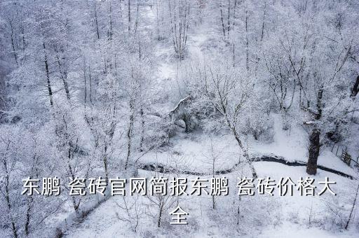 瓷砖型号yf是什么品牌,s8812r 型号是什么品牌的瓷砖