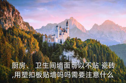卫生间防水无瓷砖厨房