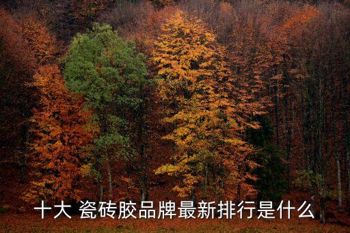 十大 瓷砖胶品牌最新排行是什么