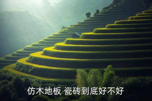 仿木地板 瓷砖到底好不好