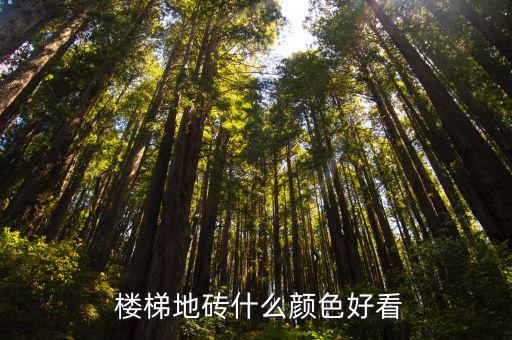  楼梯地砖什么颜色好看