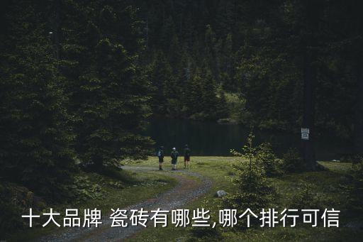 米兰瓷砖改色推荐品牌