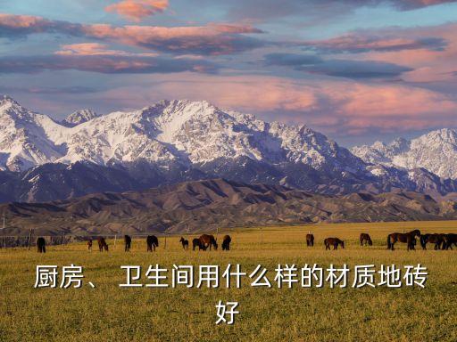  厨房、 卫生间用什么样的材质地砖好