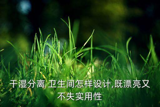 干湿分离 卫生间怎样设计,既漂亮又不失实用性