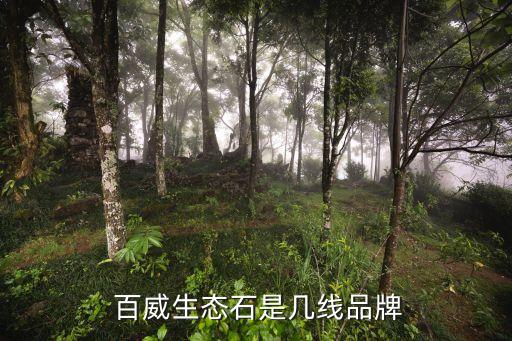  百威生态石是几线品牌