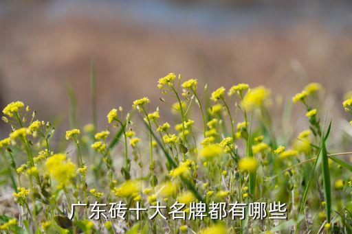 广东品牌瓷砖店代理商排名