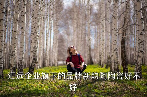  汇远企业旗下的品牌新韵陶陶瓷好不好