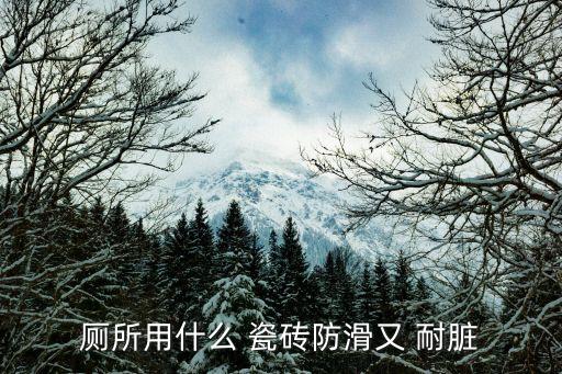 厕所用什么 瓷砖防滑又 耐脏