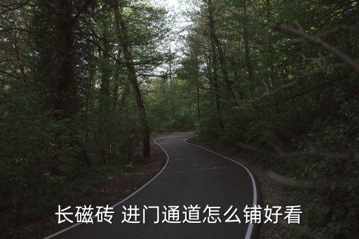 长磁砖 进门通道怎么铺好看