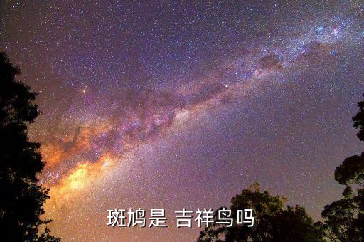 斑鸠是 吉祥鸟吗