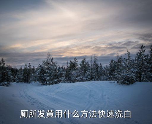 厕所发黄用什么方法快速洗白