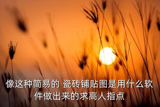 像这种简易的 瓷砖铺贴图是用什么软件做出来的求高人指点